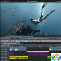 Short Video Editing Specialist